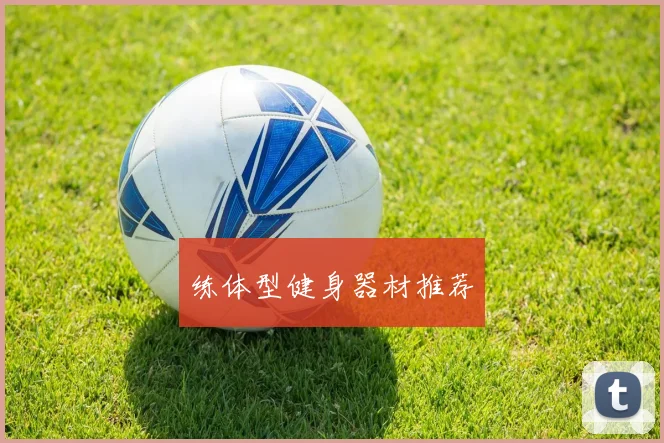 练体型健身器材推荐